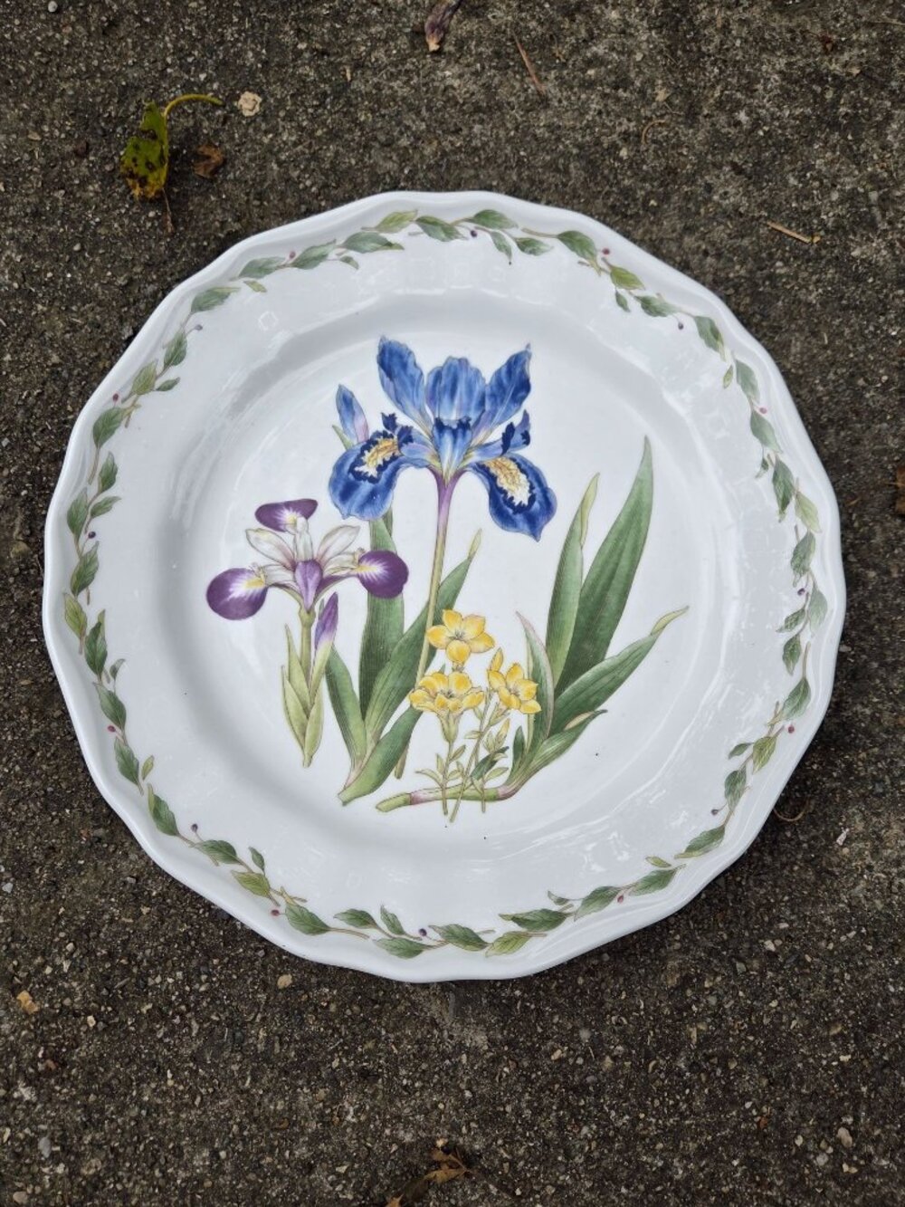 Noritake Gourmet Garden 10 5/8" Dinner Plate Casual Gourmet Iris Pattern